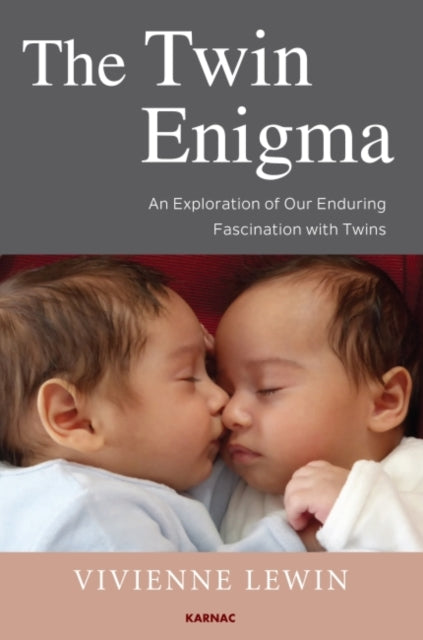Book cover of: Twin Enigma. By: Vivienne Lewin