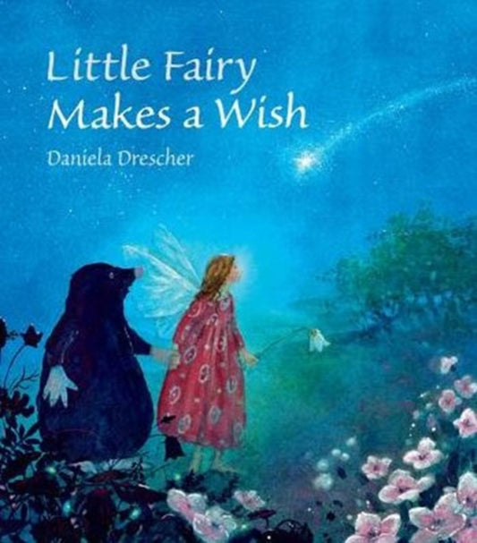 Book cover of: Little Fairy Makes a Wish. By: Daniela Drescher
