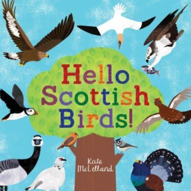 Hello Scottish Birds 9781782508335 Kate McLelland