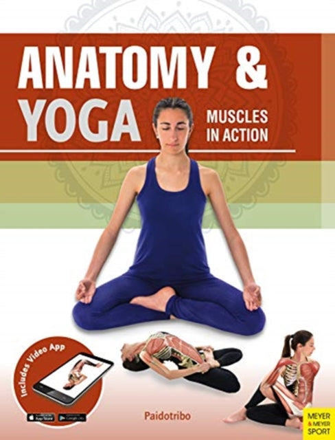 Book cover of: Anatomy & Yoga. By: Mireia Coll