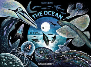Ocean at Night