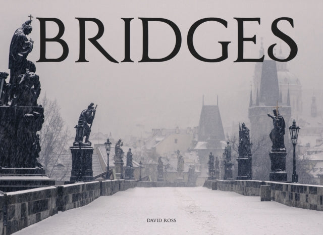 Book cover of: Bridges