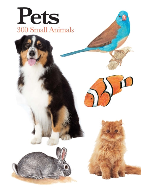 Book cover of: Pets. By: Claudia Martin