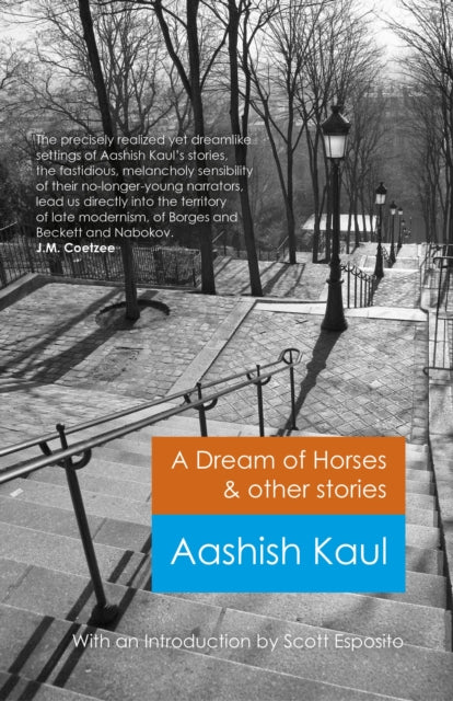Book cover of: Dream of Horses & Other Stories, A. By: Aashish Kaul