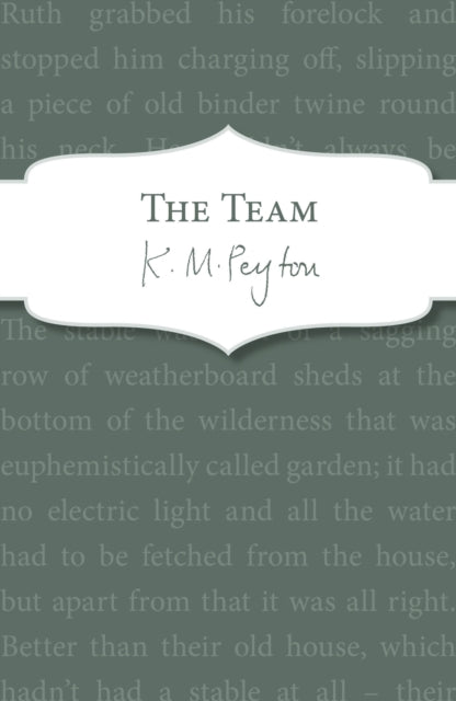 Book cover of: Team. By: K. M. Peyton