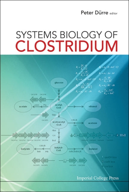 Book cover of: Systems Biology Of Clostridium. By: Peter Durre