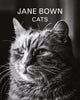 Book cover of: Jane Bown: Cats. By: Jane Bown