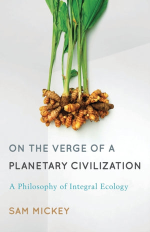 On the Verge of a Planetary Civilization