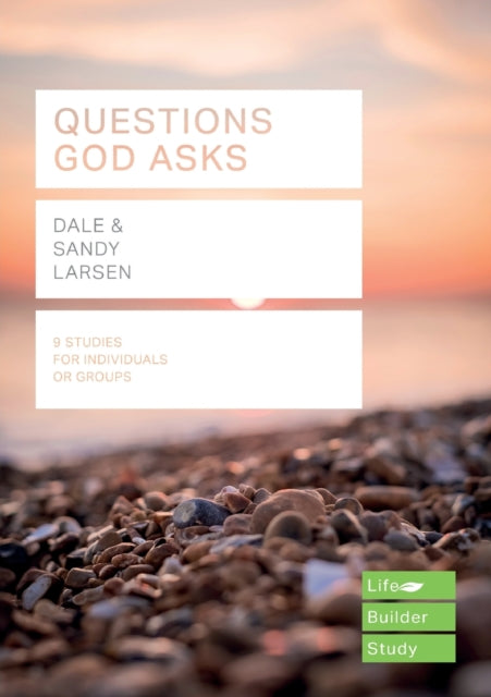 Book cover of: Questions God Asks. By: Dale Larsen