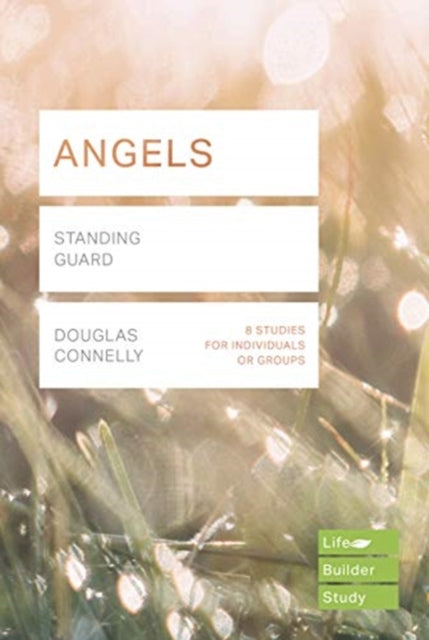 Book cover of: Angels (Lifebuilder Study Guides)