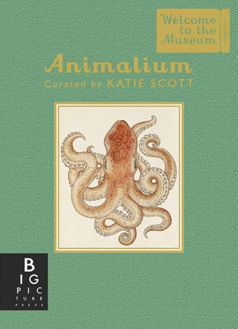 Book cover of: Animalium (Mini Gift Edition). By: Jenny Broom