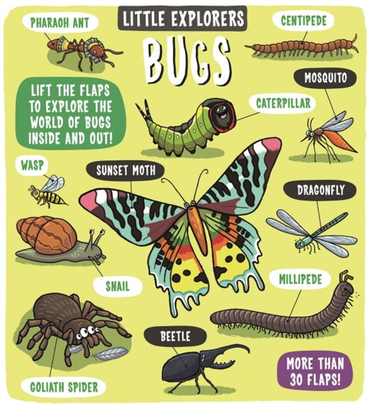 Book cover of: Little Explorers: Bugs. By: Staff Dynamo Ltd.