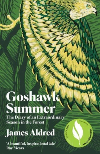 Book cover of: Goshawk Summer