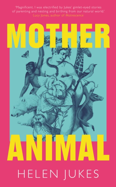 Mother Animal 9781783968381 Helen Jukes