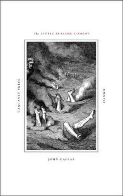 Book cover of: Little Sublime Comedy. By: John Gallas