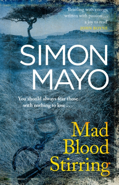 Book cover of: Mad Blood Stirring. By: Simon Mayo