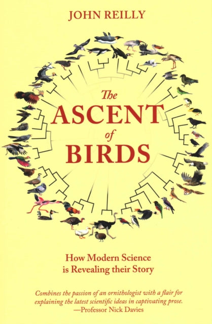 Book cover of: Ascent of Birds. By: John Reilly