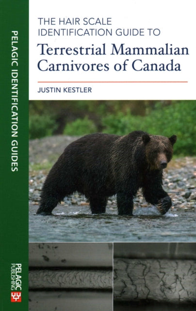 Book cover of: Hair Scale Identification Guide to Terrestrial Mammalian Carnivores of Canada. By: KESTLER