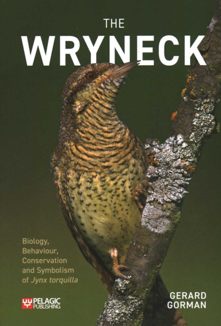 The Wryneck
