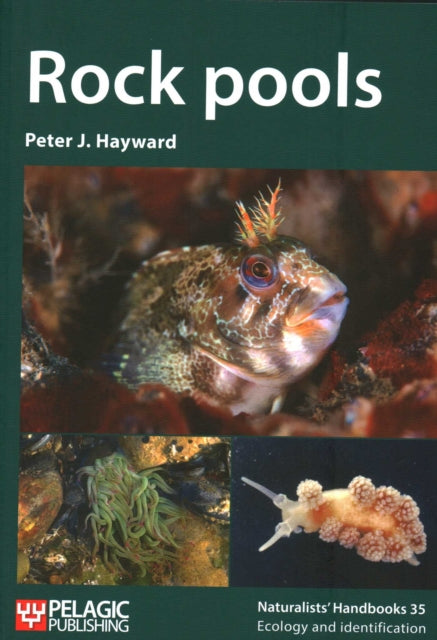 Rock pools