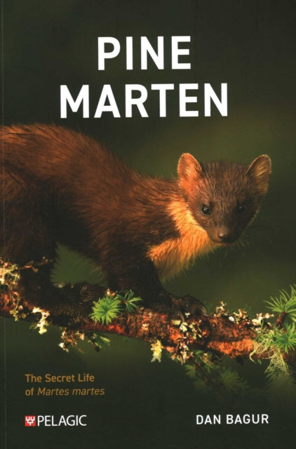 Book cover of: Pine Marten. By: Dan Bagur