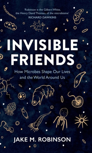 Invisible Friends