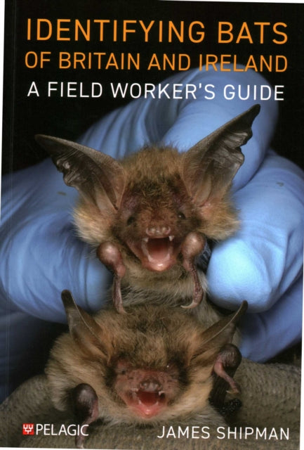 Identifying Bats of Britain and Ireland, A Field Worker’s Guide 9781784274924 James Shipman