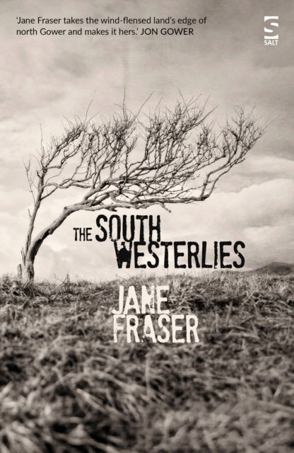 Book cover of: South Westerlies. By: Jane Fraser