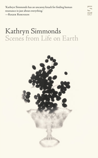 Book cover of: Scenes from Life on Earth. By: Kathryn Simmonds