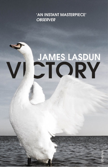 Book cover of: Victory. By: James Lasdun