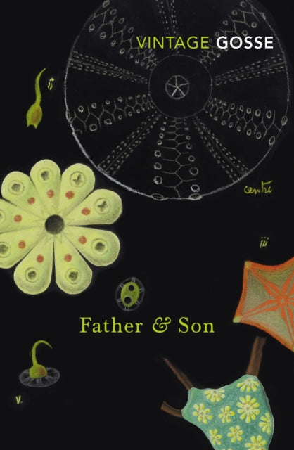 Book cover of: Father and Son. By: Edmund Gosse (translator)