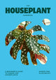Houseplant Handbook, A Beginner’s Guide to Caring for Houseplants 9781784887964 Alice Bailey