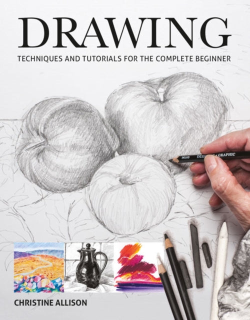 Book cover of: Drawings. By: Christine Allison