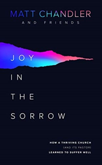 Book cover of: Joy in the Sorrow