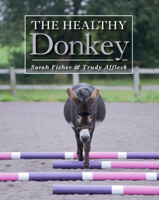 Book cover of: Healthy Donkey. By: Sarah Fisher