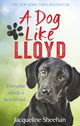 Book cover of: Dog Like Lloyd. By: Jacqueline Sheehan