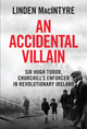Book cover of: An Accidental Villain