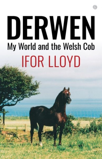 Book cover of: Derwen - My World and the Welsh Cob. By: Ifor Lloyd