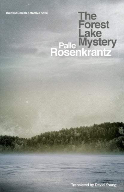 Book cover of: Forest Lake Mystery