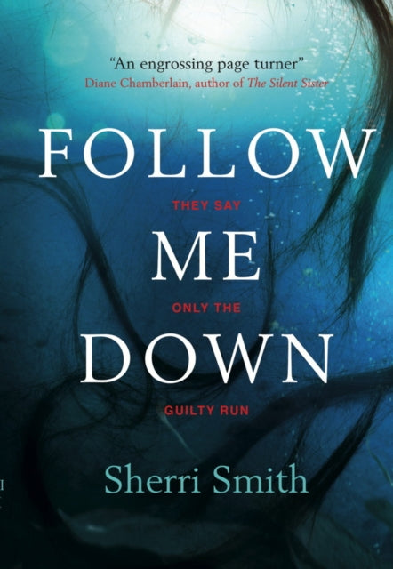 Book cover of: Follow Me Down. By: S. L. Smith
