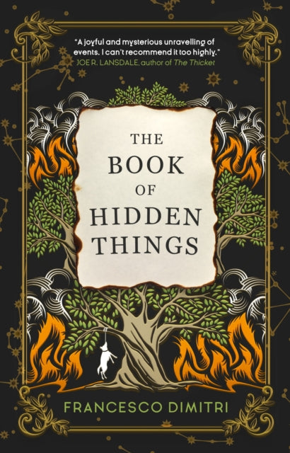 Book cover of: Book of Hidden Things. By: Francesco Dimitri