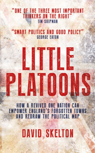 Book cover of: Little Platoons. By: David Skelton