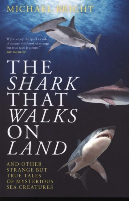 Shark That Walks on Land