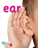 Book cover of: Alpha Stars ear. By: Stephen Rickard
