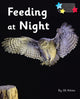 Book cover of: Feeding at Night. By: Jill Atkins