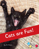 Book cover of: Cats are Fun!. By: Jill Atkins