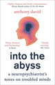 Book cover of: Into the Abyss. By: Anthony David