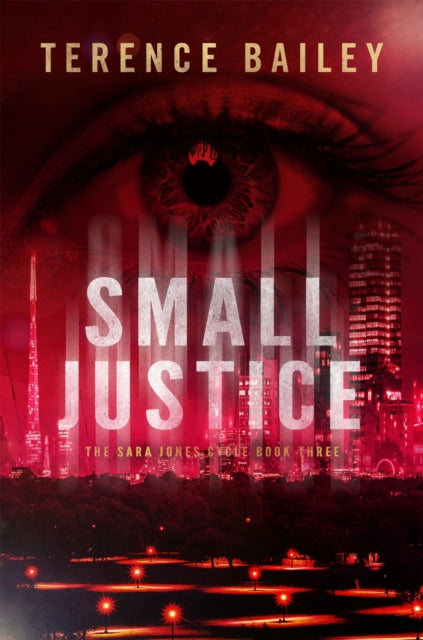 Book cover of: Small Justice. By: Terence Bailey