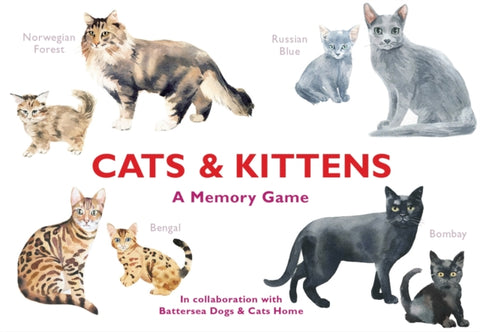 Cats & Kittens