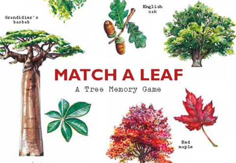Match a Leaf, A Tree Memory Game